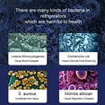 thumbnail image 3 of Yeacher M9 Refrigerator Air Purifier USB Rechargeable Home Bedroom Kitchen Deodorization Air Purification God, 3 of 8
