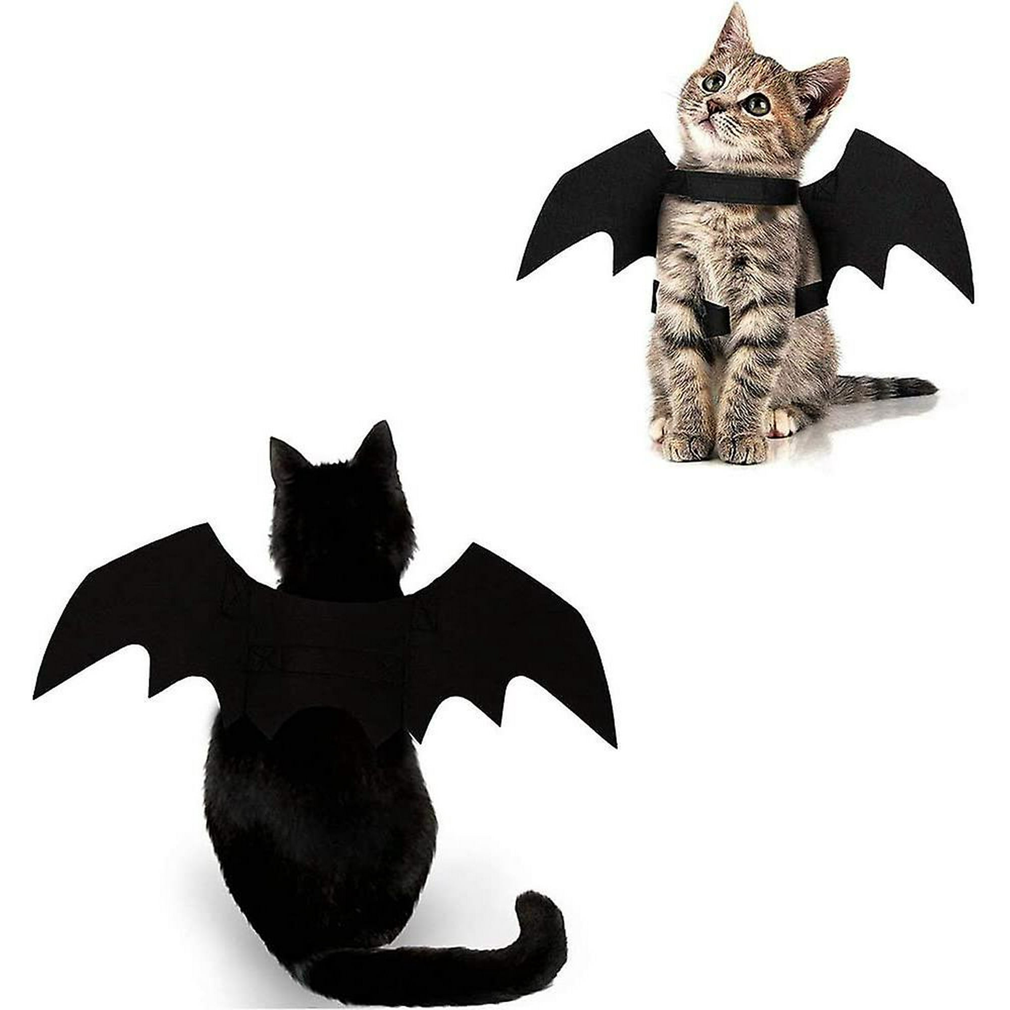 Girl cat accessories online