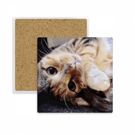

Stripes Kitty Cat Relax Animal Adorable Square Coaster Cup Mat Mug Subplate Holder Insulation Stone