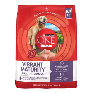 Purina ONE Plus Dry Dog Food, Skin & Coat Formula, High Protein