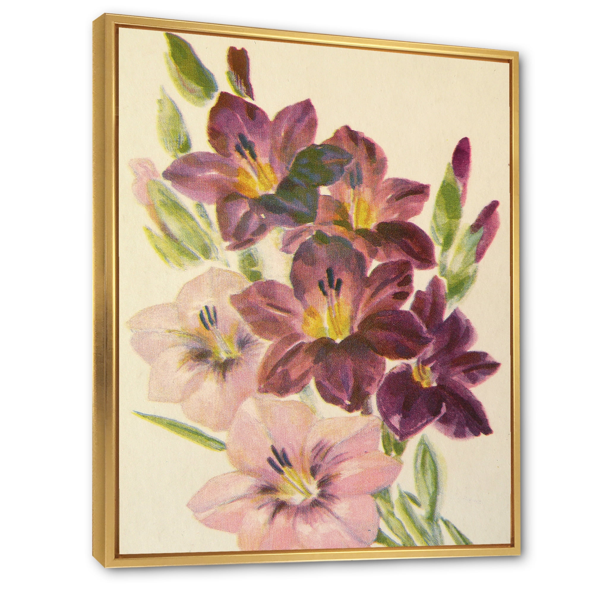 Designart 'Retro Dark and Light Pink Gladiolus' Traditional Framed Canvas Wall Art Print