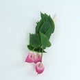 thumbnail image 6 of Midewhik activity 21 Bundles Outdoor Artificial Flowers Colorful Faux UV Resistant Outdoor Artificial Greenery Boston Fern Plastic Flowers for Patio Garden Decor, 6 of 8