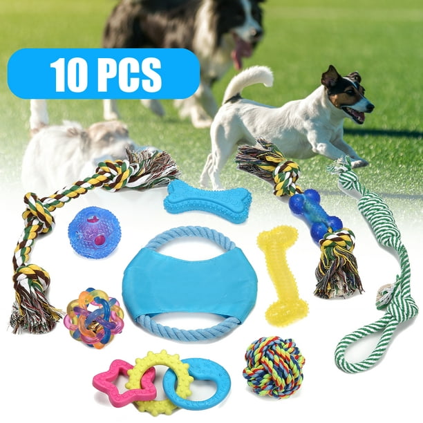 Dog Puppy Toys 10 Pack, Puppy Chew Toys for Playtime and