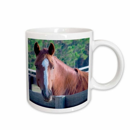 

3dRose Quarter Horse Mare - Ceramic Mug 15oz (mug_674_2)