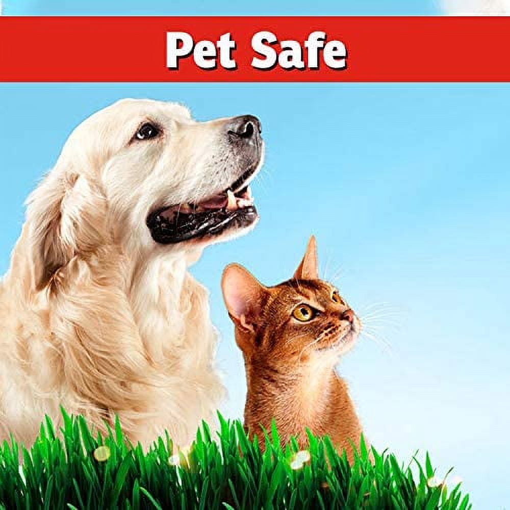 I Must Garden Deer Repellent: Spice Scent - 32oz Hose End Concentrate