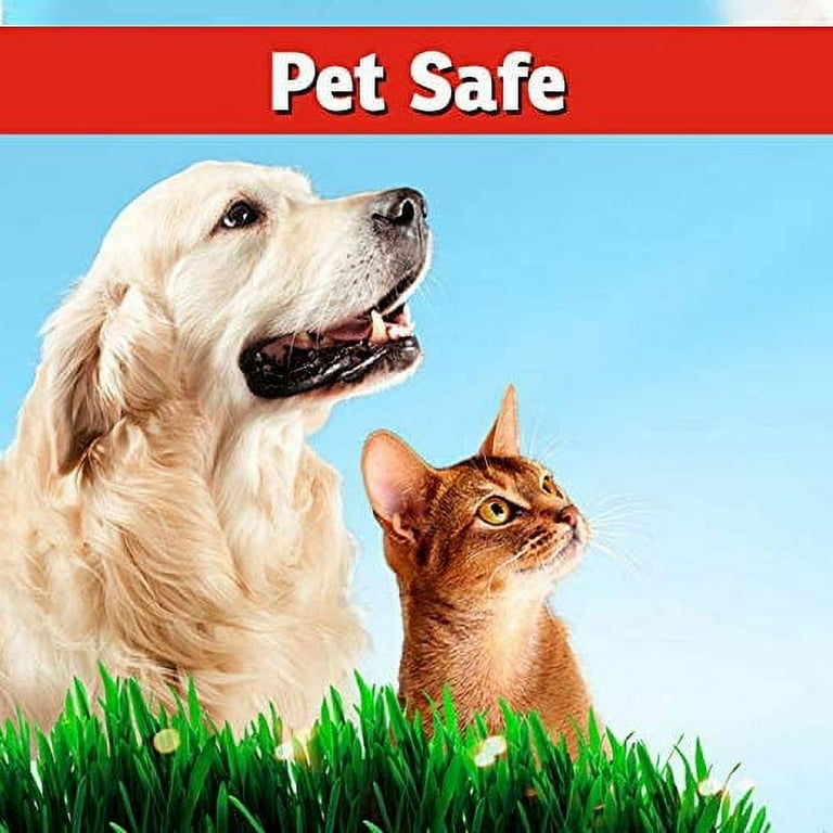 I Must Garden Dog and Cat Repellent All Natural Spray to Stop Chewing and Repel from Yards Plants and Gardens 1 Gallon Ready to Use