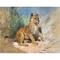 thumbnail image 2 of Heywood Hardy 24x20 Black Ornate Framed Double Matted Museum Art Print Titled: A Lion Cub (1877), 2 of 5