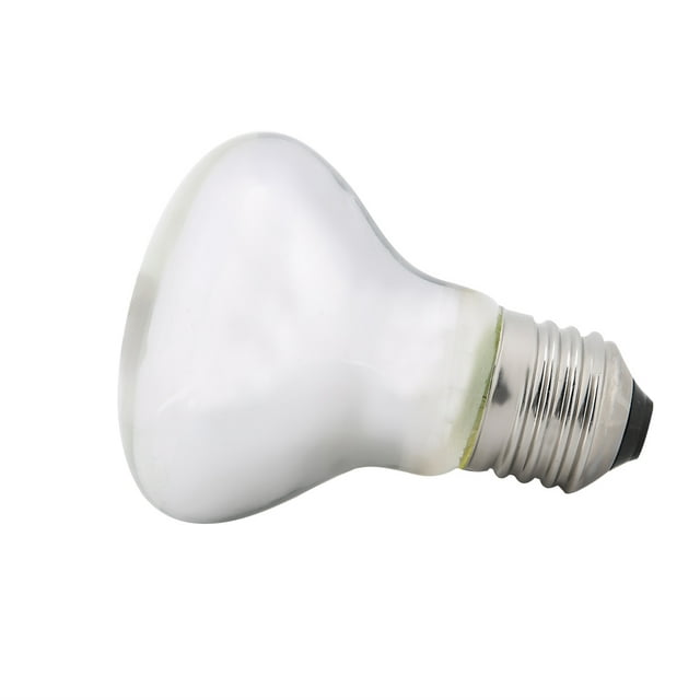 Heating Light Bulb,220-230V Night Heat Light Heating Light Reptile Heating Light Unbeatable Value
