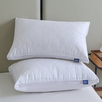 EazyTech Hotel Bed Pillow Queen Size for Back Side Stomach Sleepers - Ultra Soft & Supportive Down Alternative Filling Pillow with Breathable Fabric 20x30in White