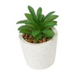 thumbnail image 4 of Anko Artificial Succulent #1 in Pot, 4 of 5