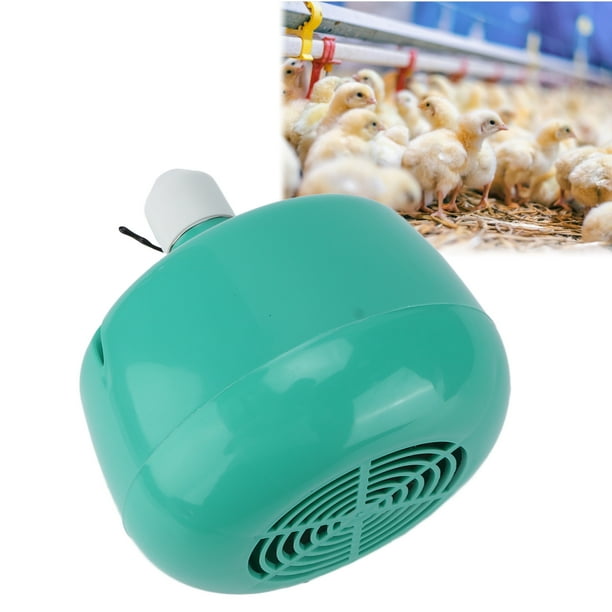 Heat lamp for clearance chickens walmart