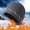 Grey, variant on LIZUOJUN Under $4 Winter Beanie Hats for Men and Women Fleece Lined Knit Skull Cap Convertible Two-Way Warm Outdoor Cold Weather One Size Black