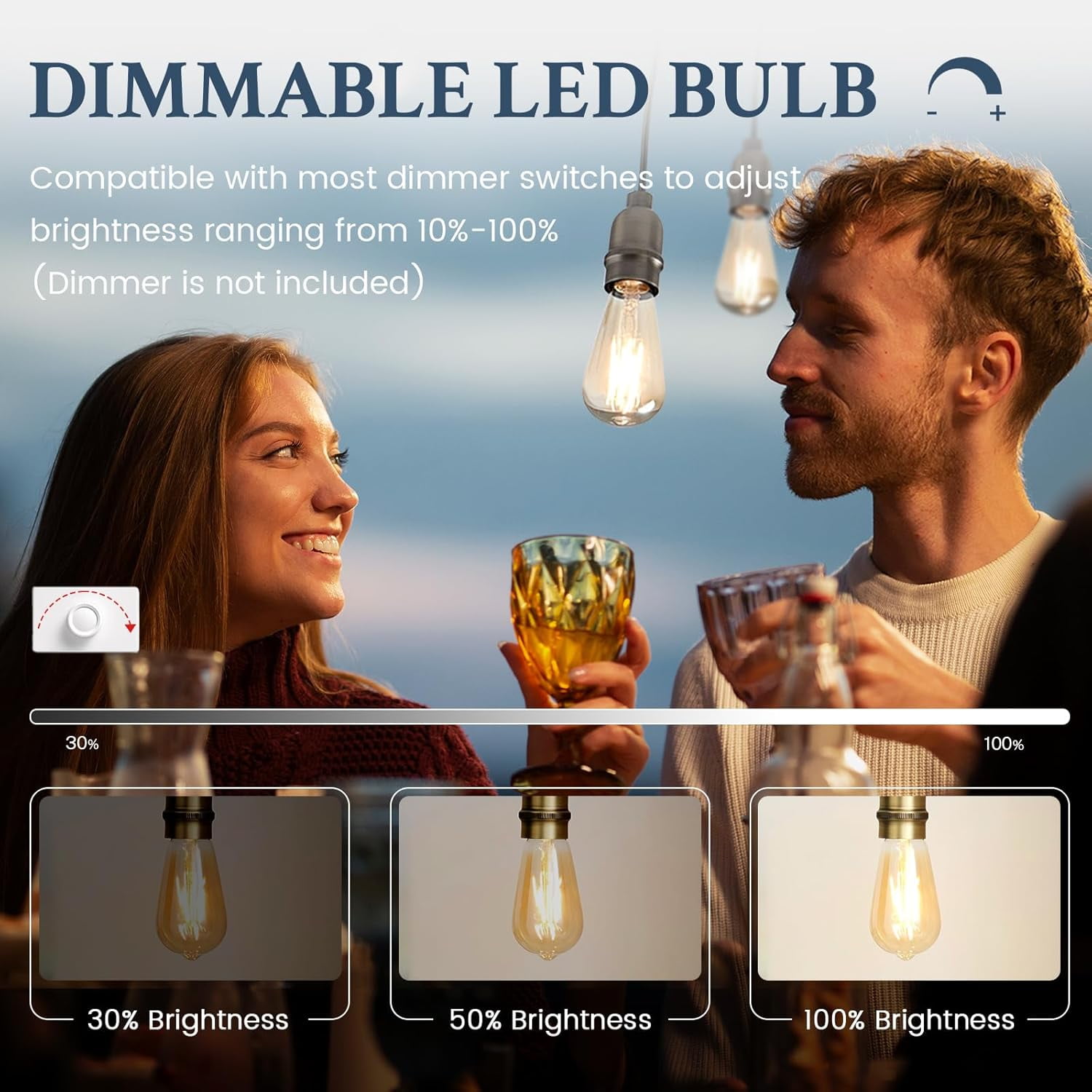 Vintage LED Edison Bulbs, Dimmable 60W Equivalent 800 lumens, 6W Warm White 2700K, 80+ CRI, ST58 Antique LED Filament Bulbs, E26 Medium Base, Clear Glass, Pack of 12