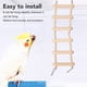 thumbnail image 4 of Juguetes De Columpio Para Jaula De Pájaros, Juego Interactivo De Juguete Para Masticar Loros, Seguro, 8 Piezas Para Posarse Y Hacer Ejercicio, 4 of 7