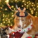 thumbnail image 4 of XWSHYW Contenedores de Almacenamiento Gorro Navideño para Perro, Gorro de Papá Noel para Mascota, Gorro con Diseño de Papá Noel, Disfraces para Mascotas, Cómodo Atuendo Navideño para Perro, Accesorio, 4 of 4