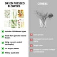 thumbnail image 6 of Keyohome 104/96/94Pcs Pressed Dried Flowers Set Real Natural Pressing Floral Leaves DIY Real Pressed Flowers for Indoor Outdoor Home,3 Sheets, 6 of 8