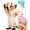 Light blue, variant on Colorful Flying Propeller Cat Scratch Toy,Tracking Interactive Cat Toy,Used For Kitten Chasing Training And Hunting,A Fun Gift For Pet Enthusiasts.