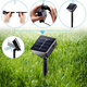 thumbnail image 3 of Dinheiro Luz solar de libélula para exteriores, 50 luces LED de libélula, luces decorativas para jardín y jardín, 3 of 5