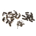 thumbnail image 4 of Gancho de Cierre de Bronce de 12 piezas, 12 piezas, Joyería decorativa antigua, regalo, caja de madera para ferretería de vid, gancho de pestillo con tornillo, 4 of 7