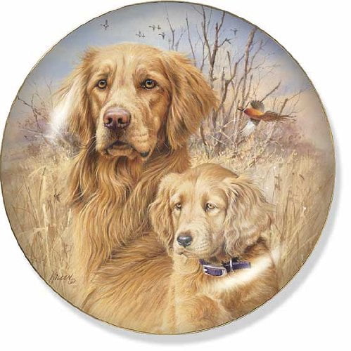 golden retriever collector plates