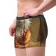 thumbnail image 2 of Fotbe Haystack Meditating Cat Calzoncillos Tipo Boxer con Bolsa de Soporte Total para Hombre, X-Temp Fresco, Transpirable y de Secado Rápido-X-Large, 2 of 5