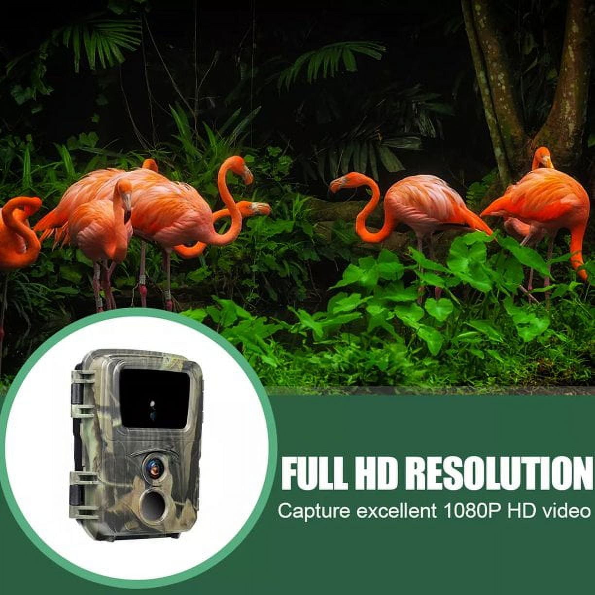 SuntekCam Hunting Trail Monitors, 4 Pack, 32GB SD, 20MP, 1080P, Night Vision, Waterproof, MINI600