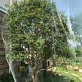thumbnail image 1 of LYUMO Hunting Pest Repellers Gardening Vegetable Fruit Protector Bird Animals Repellent Mesh Garden Net Cover Mosquito, 1 of 8
