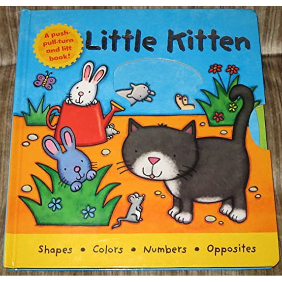 Pre-Owned Little Kitten, 9781848528727, 1848528728, Paperback,
