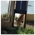thumbnail image 4 of Puerta de gallinero Puerta para mascotas Puerta automática de gallinero para el hogar Marrón, 4 of 5