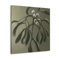 thumbnail image 2 of Mistletoe in Baroque. - Canvas, 2 of 10