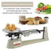 2610gX0.1g Mechanical Balance Scale Lab Analytical Weighing Balance Scale