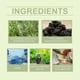 thumbnail image 2 of Rosemary Mint Hair Serum for Men & Women, Scalp Treatment with Essential Oils for Hair Strength and Growth Support, 2 of 5