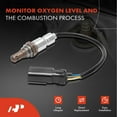 thumbnail image 2 of A-Premium APOS0529 Oxygen Sensor for ford Edge F-150 Explorer Fusion Lincoln Mazda Mercury, 2 of 9