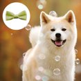 thumbnail image 3 of Apuakthei AMAJIJI corbata formal para perros medianos y grandes, 3 of 5