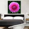 thumbnail image 2 of ARTCANVAS Dahlia Flower Home Decor Square Canvas Art Print - Size: 36" x 36" (1.50" Deep), 2 of 9