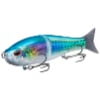 Sardine