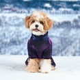thumbnail image 6 of Warm Dog Winter Coat with Leash Attachment Four Legged Lined Jacket for Cold Weather and Outdoor Walking, 6 of 6
