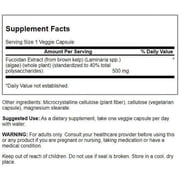 Swanson Maximum Strength Fucoidan Extract - Herbal Supplement Promoting Immune System Function - Natural Formula Supporting Overall Health - (60 Veggie Capsules, 500mg Each) (2 Pack)