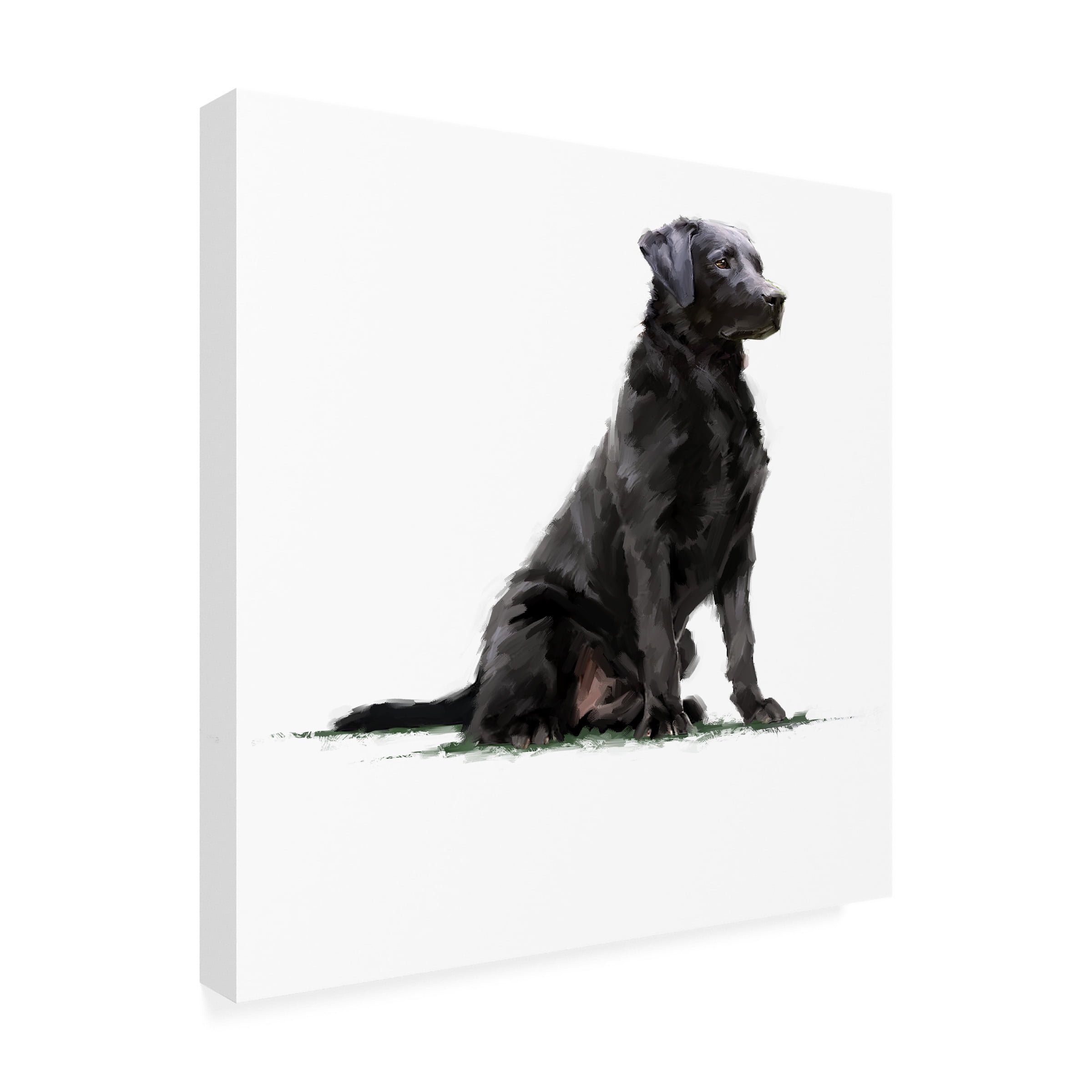 The Macneil Studio 'Black Lab' Canvas Art