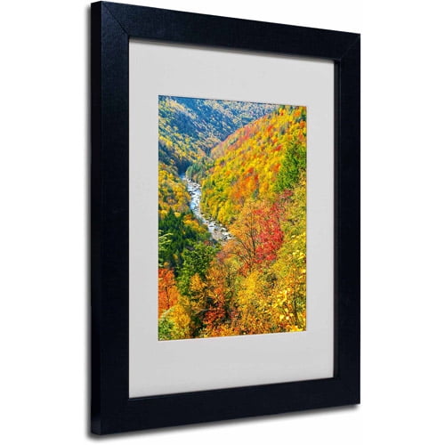 Trademark Fine Art "Valley" Canvas Art by CATeyes, Black Frame