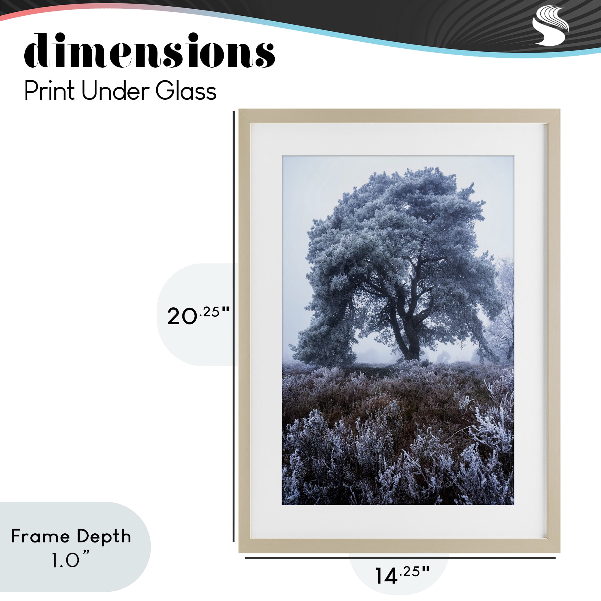 Stupell Industries Frosted Tree in Winter Mist Birch Framed Print Under Glass, design by Martin Podt