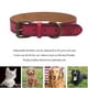 thumbnail image 4 of Collar de cuero para perros, ajustable, duradero y resistente., 4 of 5