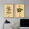 thumbnail image 4 of Póster de ilustración botánica, carteles de Papel Kraft de hojas de plantas y flores, decoración Vintage para el hogar, habitación, Bar, cafetería, arte estético, pintura de pared, 4 of 4