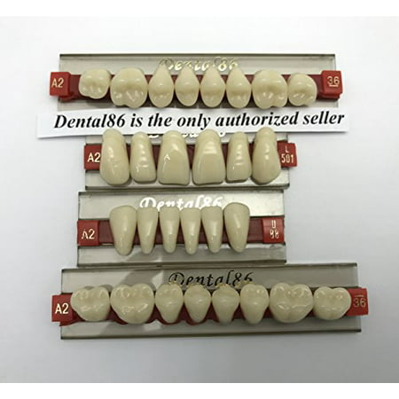 Dental Acrylic Resin Teeth Denture For Halloween Horror Prop By...