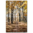 thumbnail image 1 of Picture-Tiles.com: Trees Ceramic Tile Wall Mural WAL501004-46M. 24"W x 36"H using (24) 6" x 6" Ceramic Tiles-Satin Finish, 1 of 3