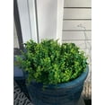 thumbnail image 5 of HESHENG Artificial Outdoor Eucalyptus Flowers 12 Bundles No Fade UV Resistant Fake Plastic Flowers Faux Plants for Garden Porch Window Box Wedding Indoor Home Décor, 5 of 8