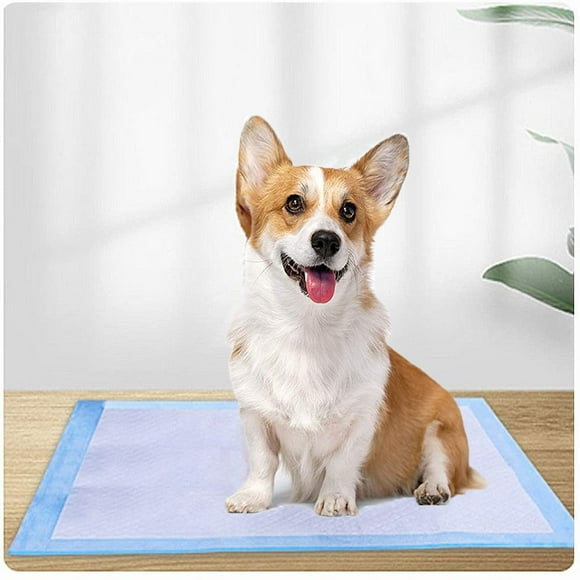 100 Unités Tapis pour Chiots à 6 Couches, Tapis Pipi Étanches pour Chiens avec Surface à Séchage Rapide