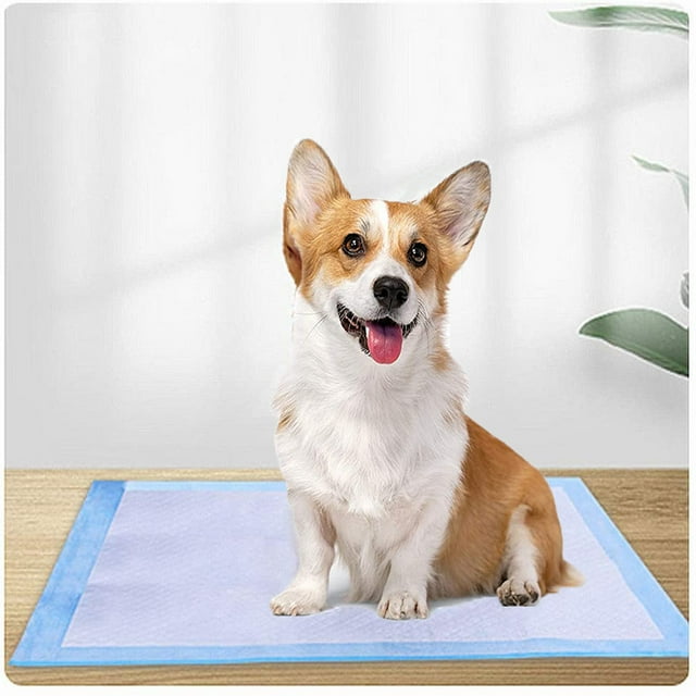100 Counts 6 Layers Puppy Pads Leak Proof Pee Pads for dogs with Quick-Dry Surface
