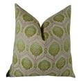 thumbnail image 1 of Plutus Coussin Tulip Fait Main, (20 Pouces x 26 Pouces Standard), 1 of 2