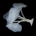 thumbnail image 3 of Silicone A rtificial Coral Plant Uerwater Decoration - Blue Jinwen pecera coral, 3 of 8